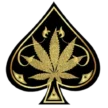 Ace Ultra Premium